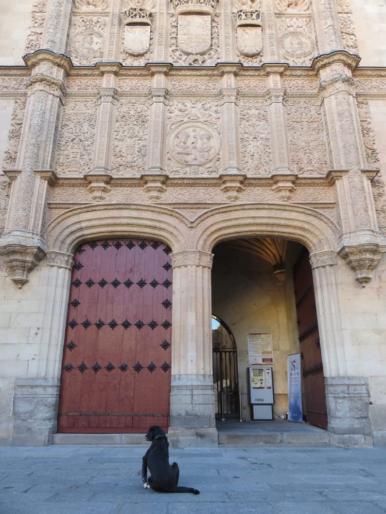 西班牙明信片郵資與寄送，薩拉曼卡漫步閒談