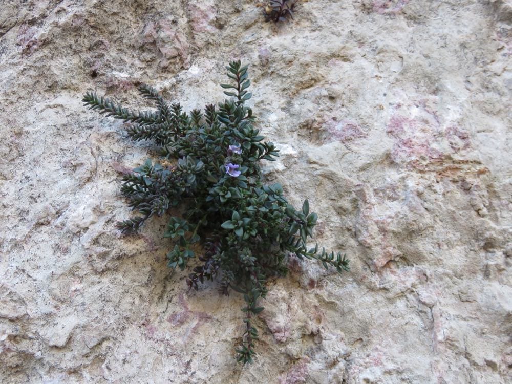 昆卡景點健行尋找守護耶穌讓人想起巴西