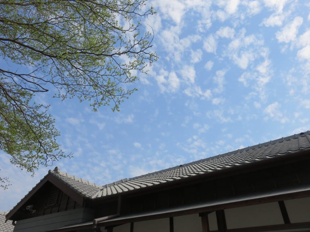 《台中清水一日遊》初訪清水該如何是好 part1 - 第17張圖 《台中清水一日遊》初訪清水該如何是好 part1