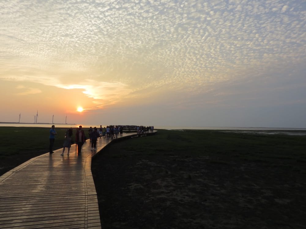 《台中清水一日遊》初訪清水該如何是好 part2 - 第14張圖 《台中清水一日遊》初訪清水該如何是好 part2