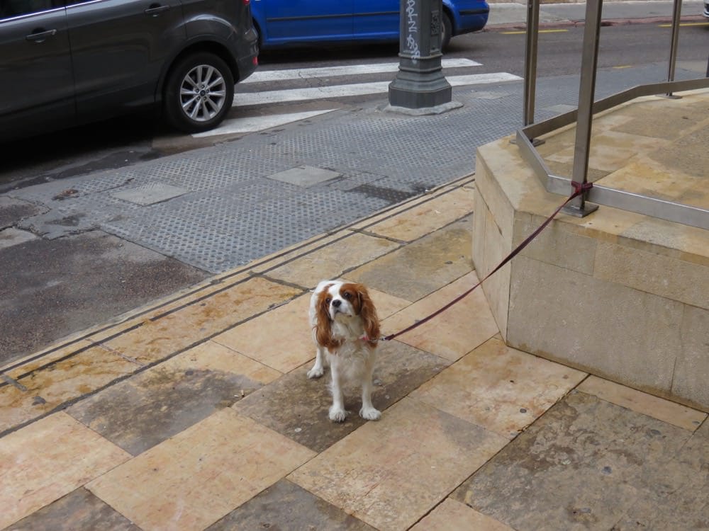 瓦倫西亞的廚房就是中央市場燉飯鍋陶鍋一次滿足