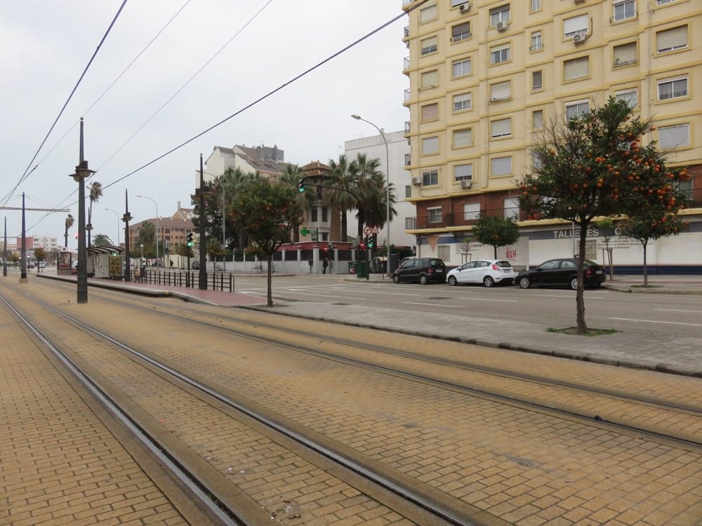 瓦倫西亞路邊橘子不要採別錯過瓦倫西亞大教堂