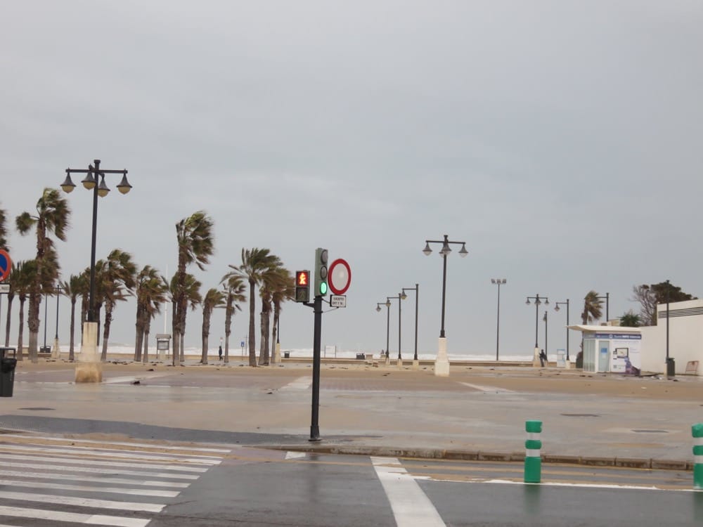 瓦倫西亞路邊橘子不要採別錯過瓦倫西亞大教堂