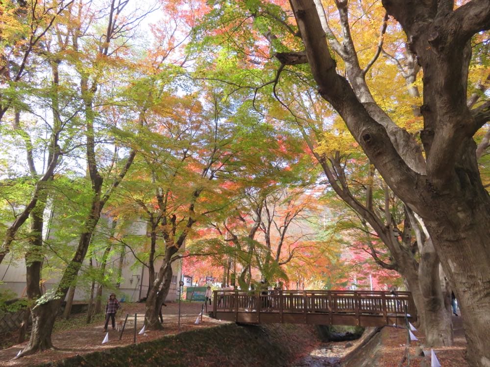 《雄獅自由行》輕鬆規劃隨時出發