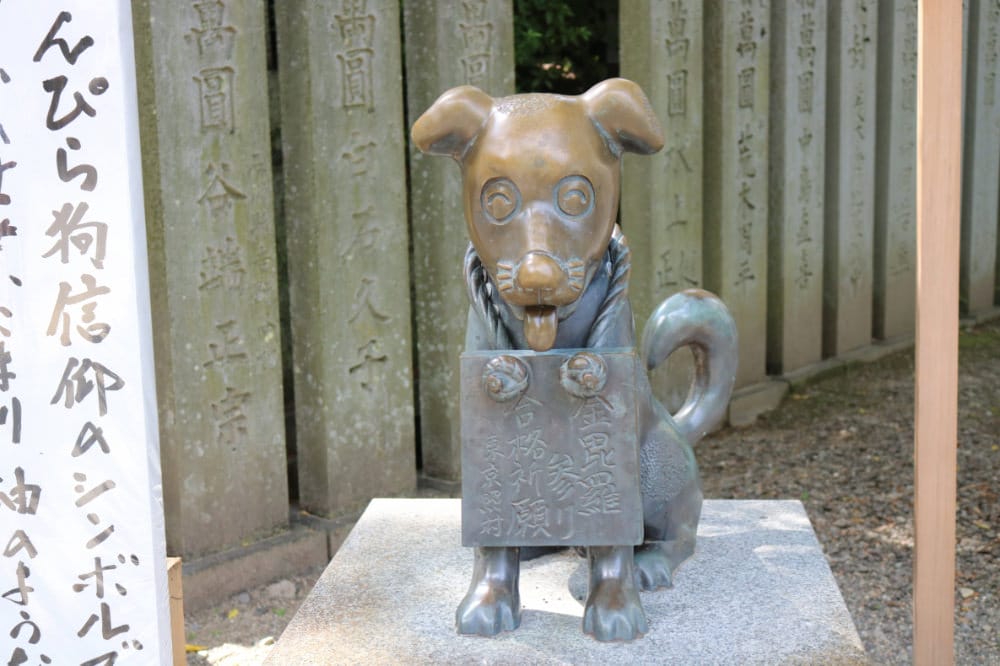 《香川景點搜秘》金刀比羅宮 烏龍麵こんぴらうどん本店