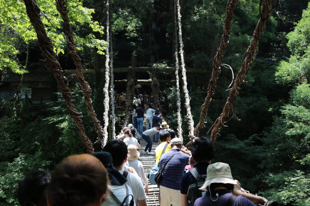 四國景點 德島祖谷秘境蔓橋抖抖與琵琶瀑布