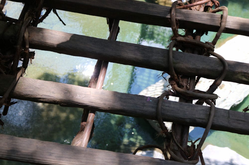 四國景點 德島祖谷秘境蔓橋抖抖與琵琶瀑布