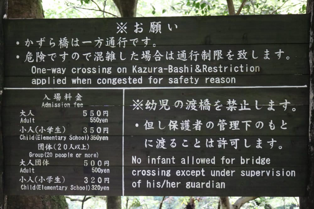 四國景點 德島祖谷秘境蔓橋抖抖與琵琶瀑布