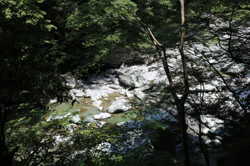 四國景點 德島祖谷秘境蔓橋抖抖與琵琶瀑布