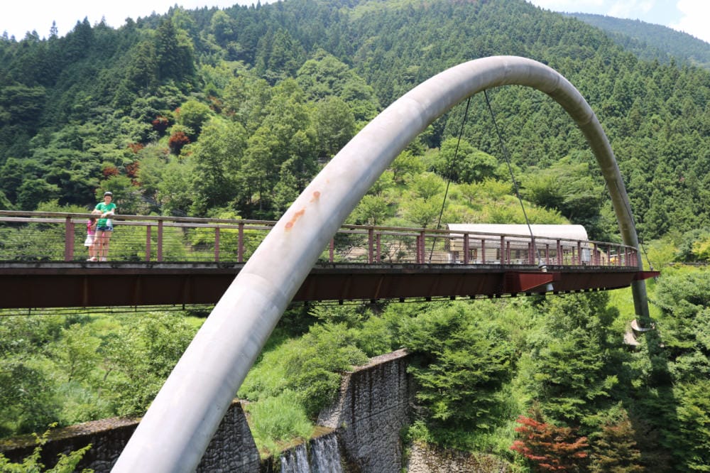 四國景點 祖谷秘境大步危峽與祖谷友誼公園