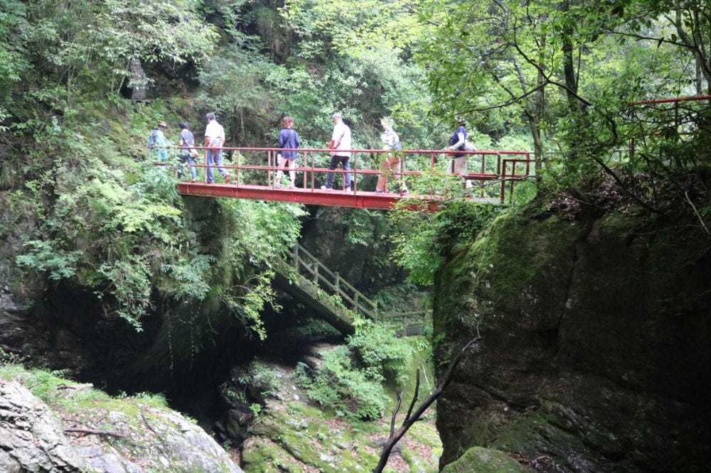 高知景點 日本第一仁淀川 中津溪谷的福氣秘境