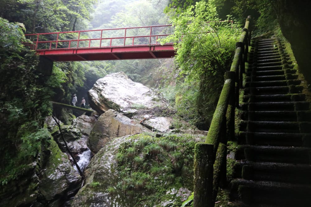 高知景點 日本第一仁淀川 中津溪谷的福氣秘境