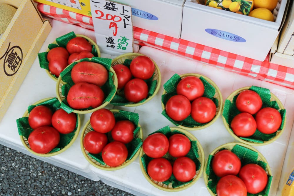 高知景點 必逛日曜市場 日本最大假日早市 - 第15張圖 高知景點 必逛日曜市場 日本最大假日早市