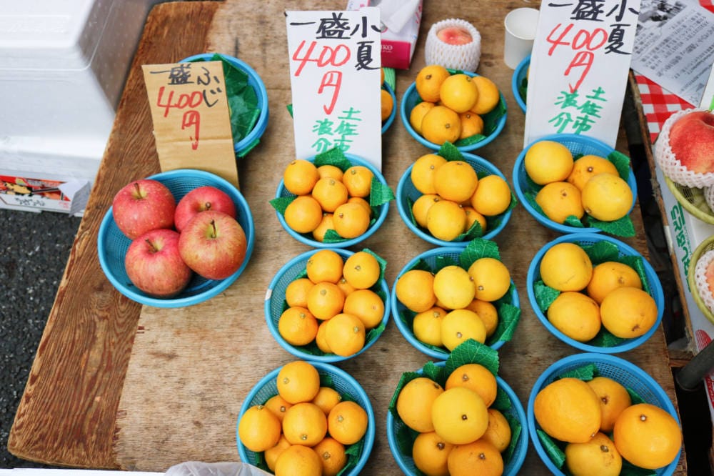 高知景點 必逛日曜市場 日本最大假日早市 - 第16張圖 高知景點 必逛日曜市場 日本最大假日早市