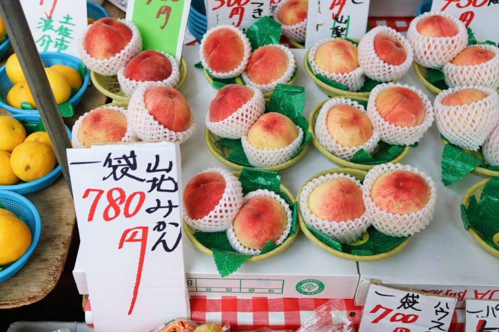 高知景點 必逛日曜市場 日本最大假日早市 - 第17張圖 高知景點 必逛日曜市場 日本最大假日早市