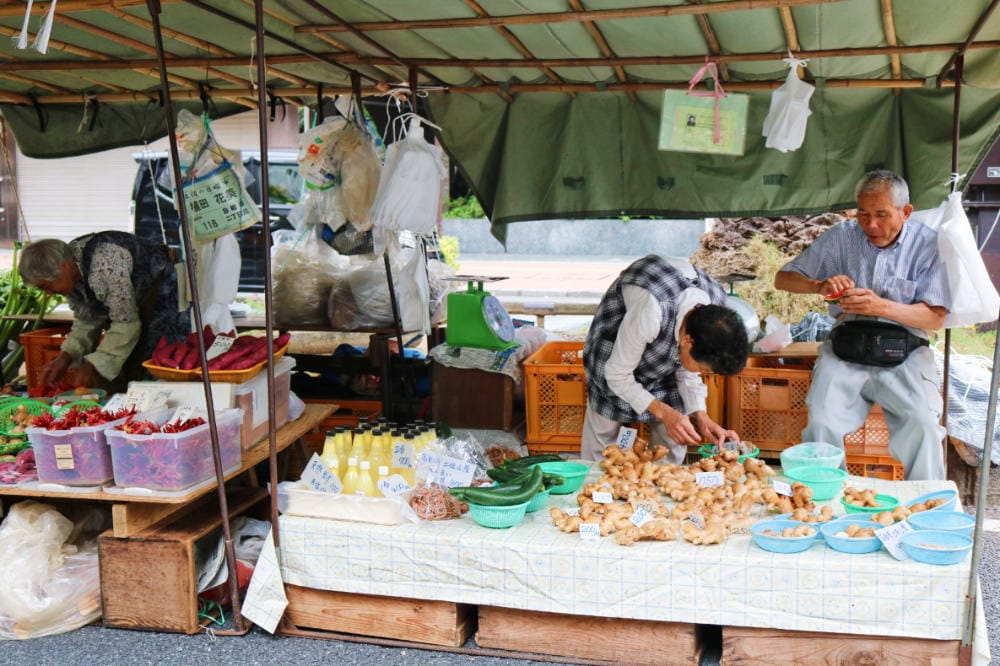 高知景點 必逛日曜市場 日本最大假日早市 - 第2張圖 高知景點 必逛日曜市場 日本最大假日早市