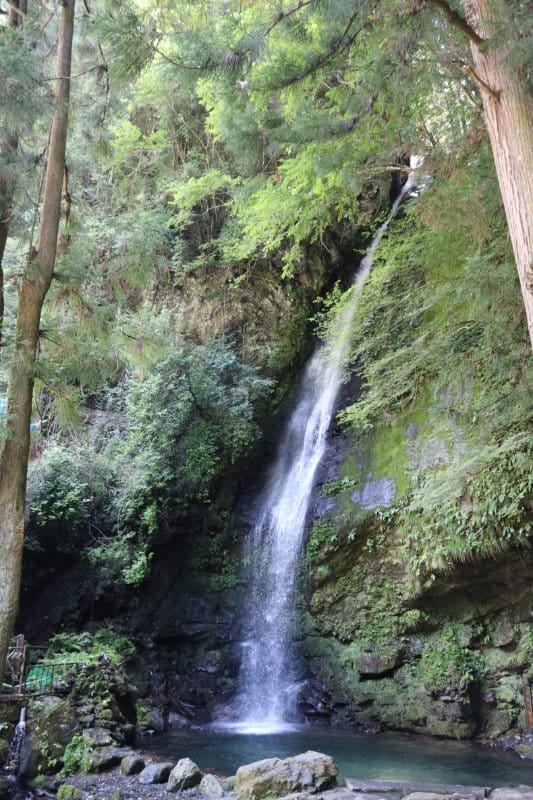 日本最後秘境 德島祖谷推薦景點路線 - 第5張圖 日本最後秘境 德島祖谷推薦景點路線