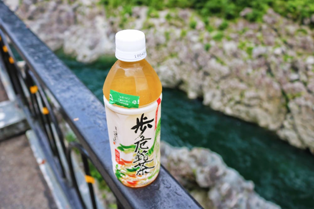 日本最後秘境 德島祖谷推薦景點路線 - 第12張圖 日本最後秘境 德島祖谷推薦景點路線