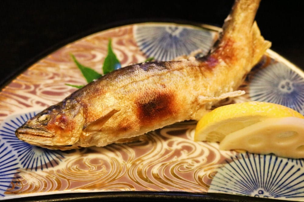 四國高知住宿 四万十 安住庵的山珍海味都在一泊二食 - 第1張圖 四國高知住宿 四万十 安住庵的山珍海味都在一泊二食