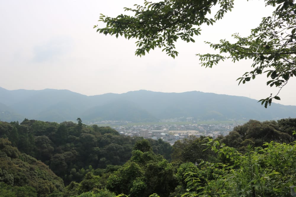 四國高知住宿 四万十 安住庵的山珍海味都在一泊二食 - 第9張圖 四國高知住宿 四万十 安住庵的山珍海味都在一泊二食