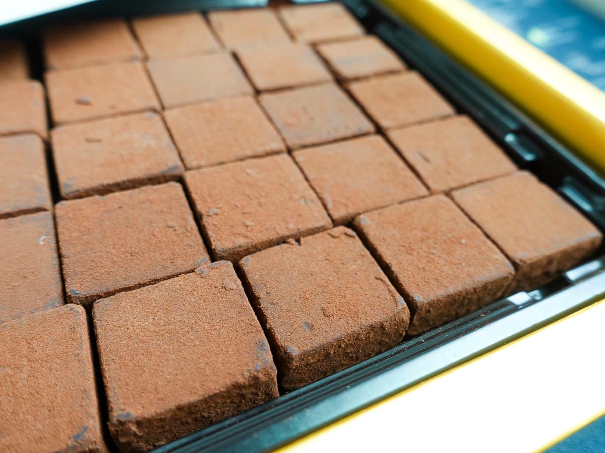 楊媽媽菓子工坊 台南後壁伴手禮的幸福食光 巧克力杏仁脆酥好吃到流淚 - 第9張圖 楊媽媽菓子工坊 台南後壁伴手禮的幸福食光 巧克力杏仁脆酥好吃到流淚