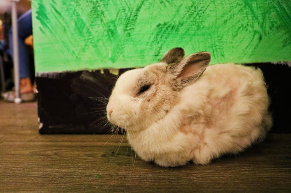 Home廚房內湖親子餐廳屬於爸媽的放風樂園