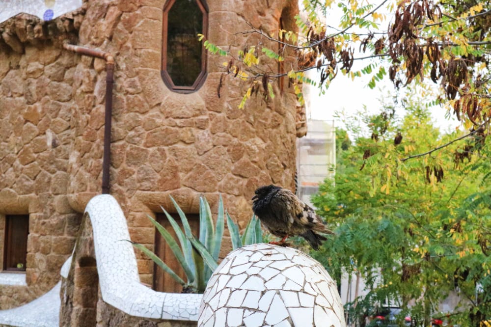 巴塞隆納奎爾公園,高第的糖果世界(附交通方式與接駁 - 第10張圖 巴塞隆納奎爾公園,高第的糖果世界(附交通方式與接駁