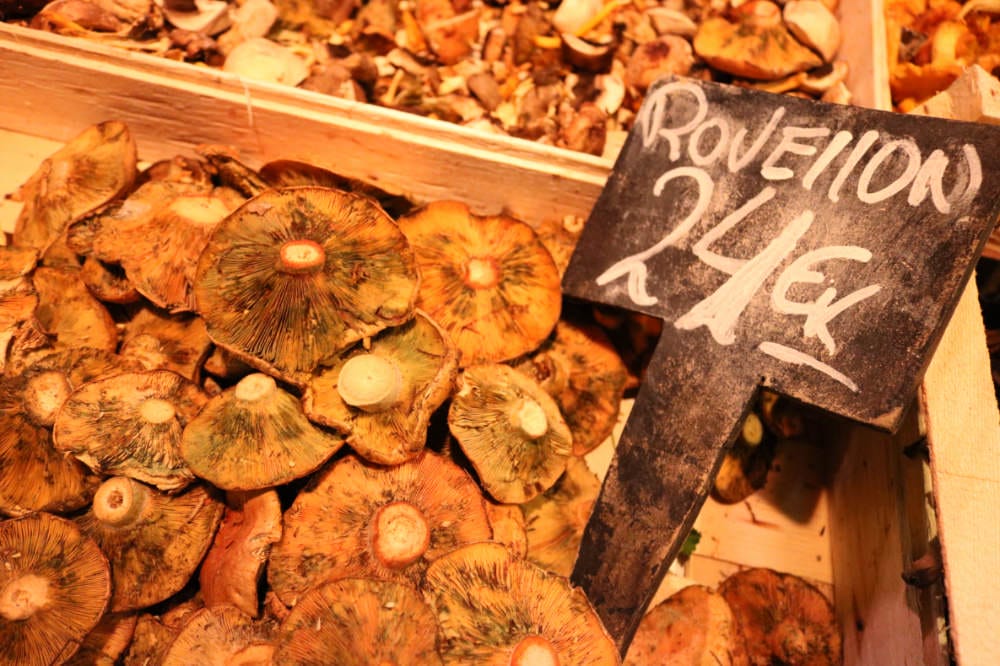 巴塞隆納聖卡特琳娜市場傳統市集就地取材附西班牙常見香菇特輯 - 第22張圖 巴塞隆納聖卡特琳娜市場傳統市集就地取材附西班牙常見香菇特輯