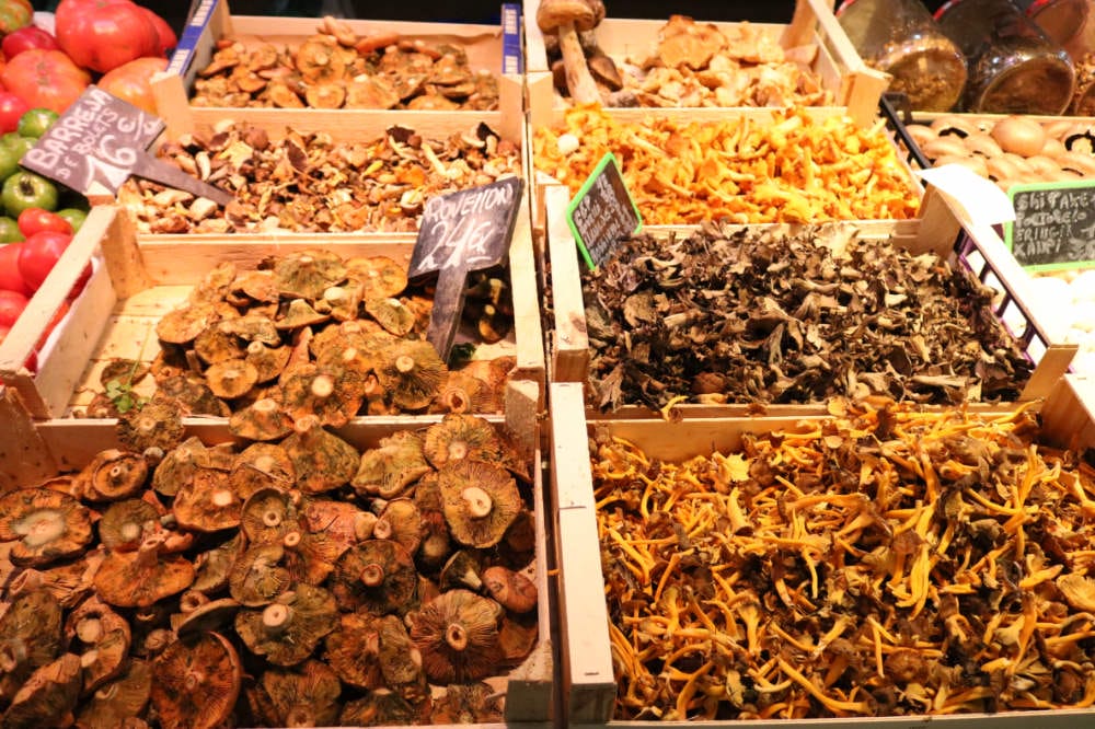 《西班牙日常》傳統市場 野菇濃湯 義大利麵食譜 早餐輕鬆煮