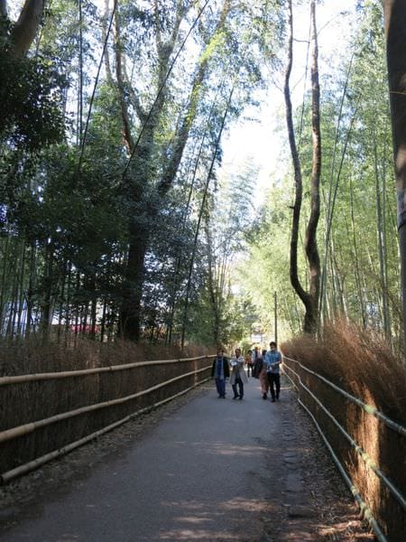 專欄|日本京阪賞櫻四天三夜 第二天 漫步世界遺產 嵐山天龍寺 渡月橋 中之島公園 廣川鰻魚 名代豬排 - 第22張圖 專欄|日本京阪賞櫻四天三夜 第二天 漫步世界遺產 嵐山天龍寺 渡月橋 中之島公園 廣川鰻魚 名代豬排