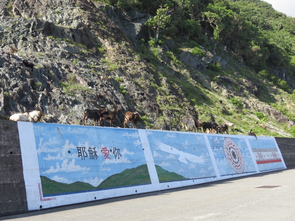 專欄|蘭嶼三天兩夜住宿、行程、搭船搭飛機,總行程花費告訴你!享受外島的湛藍海水吧! - 第12張圖 專欄|蘭嶼三天兩夜住宿、行程、搭船搭飛機,總行程花費告訴你!享受外島的湛藍海水吧!