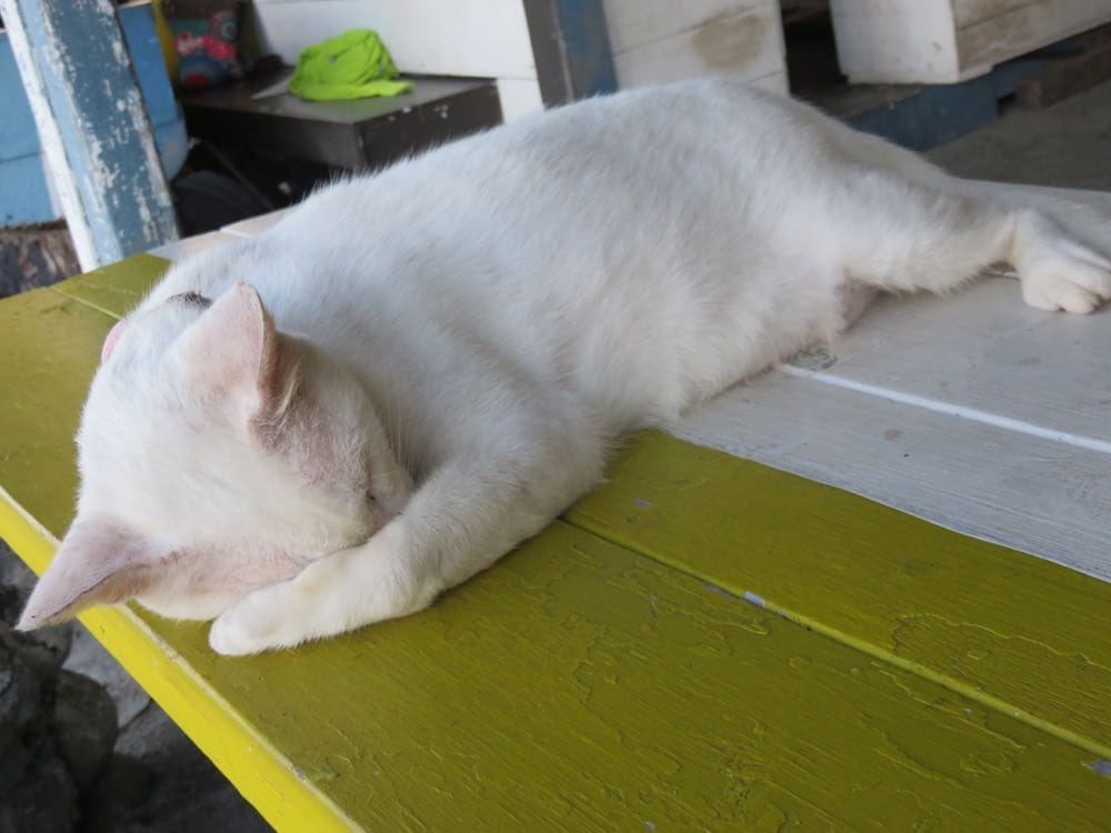 專欄|蘭嶼三天兩夜住宿、行程、搭船搭飛機,總行程花費告訴你!享受外島的湛藍海水吧! - 第8張圖 專欄|蘭嶼三天兩夜住宿、行程、搭船搭飛機,總行程花費告訴你!享受外島的湛藍海水吧!