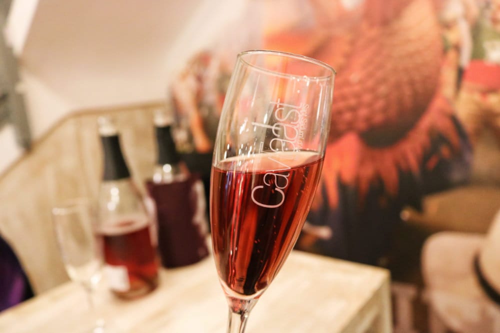 《台灣人看西班牙日常》落漆天兵無奇不有 傳說中純真的西班牙人