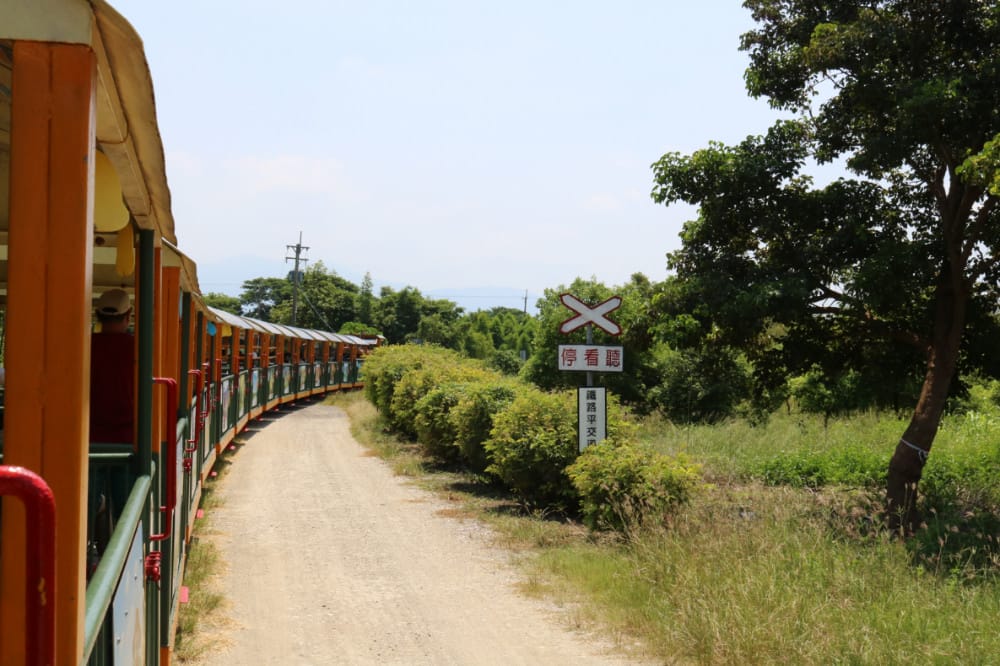 嘉義故宮南院到台南後壁新營 長輩路線拜拜吃美食