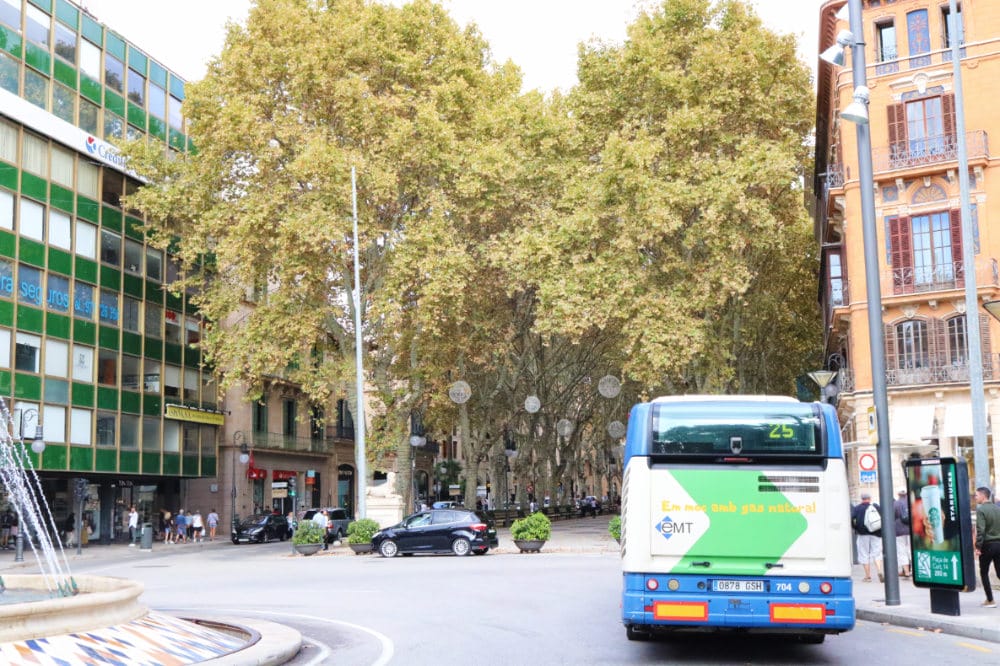 西班牙馬略卡島Monolisto人氣小酒館下午照開