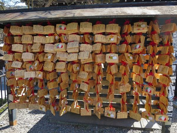 專欄｜日本京阪賞櫻四天三夜 第三天 清水寺周邊 三十三間堂一日遊
