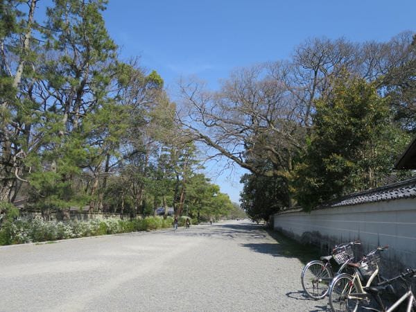 專欄｜日本京阪賞櫻四天三夜 第四天 京都御苑枝垂櫻 京都廚房錦市場 大阪心齋橋