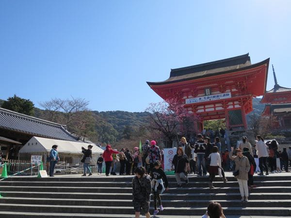 專欄｜日本京阪賞櫻四天三夜 第三天 清水寺周邊 三十三間堂一日遊