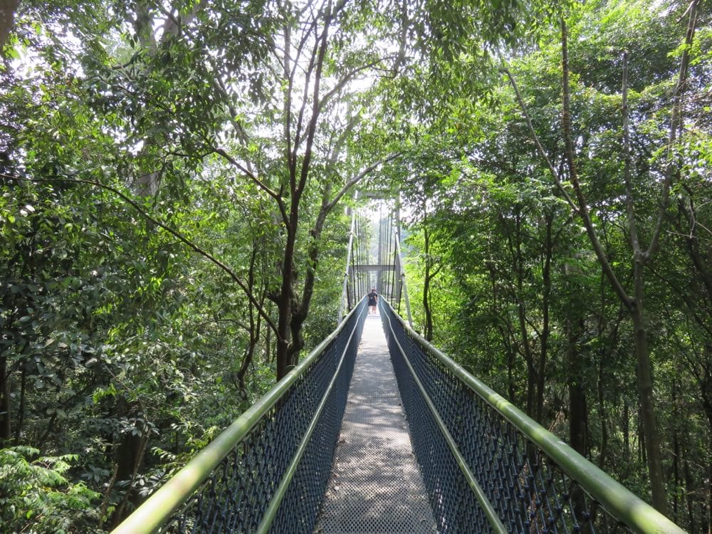 專欄｜新加坡 鐵馬健行百變花園城市 南部山脊 麥里芝蓄水池 烏敏島 讓你比在地人更在地
