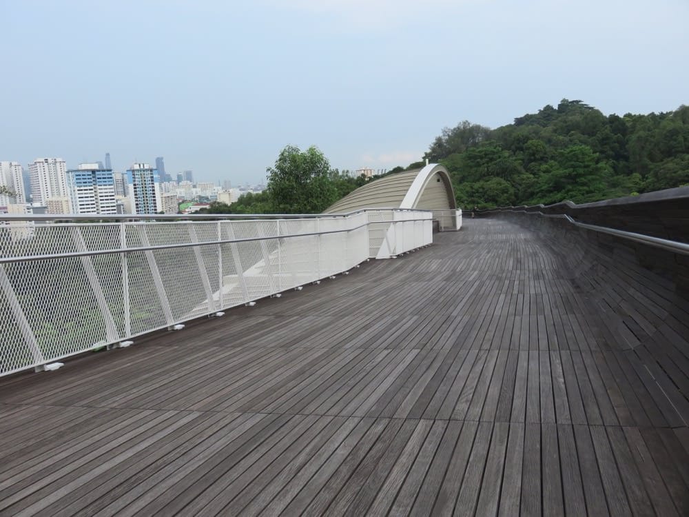 專欄｜新加坡 鐵馬健行百變花園城市 南部山脊 麥里芝蓄水池 烏敏島 讓你比在地人更在地