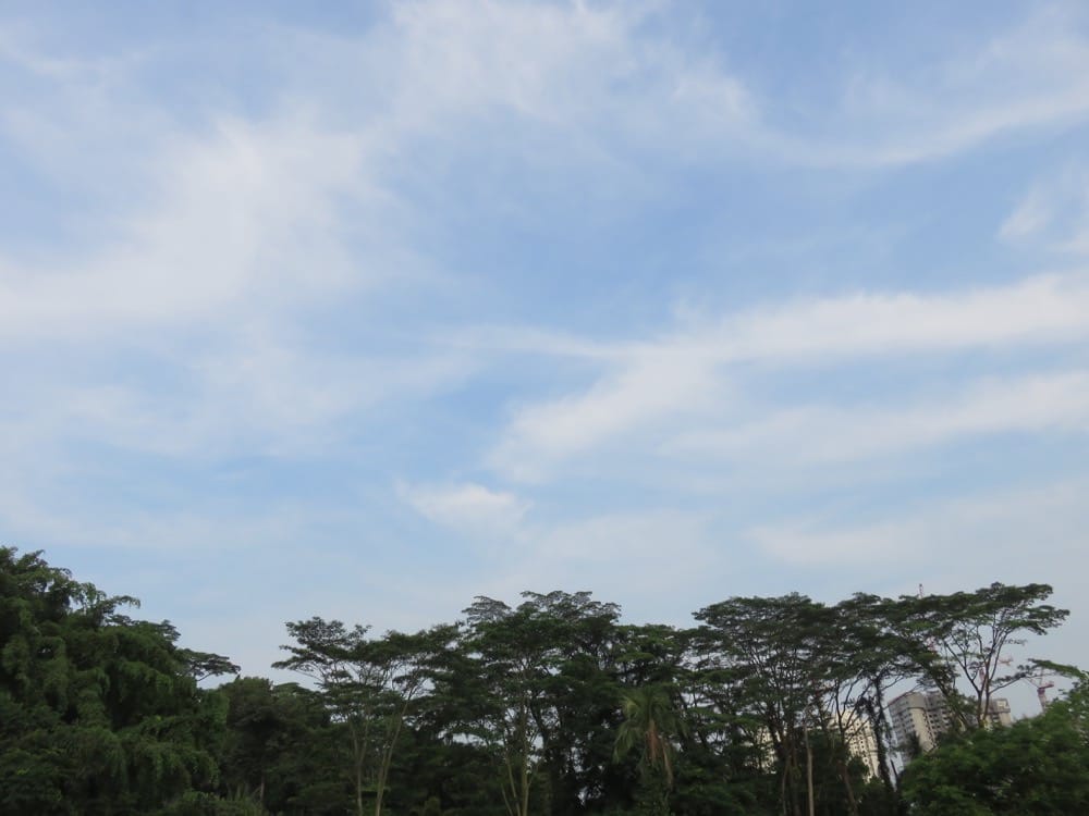 專欄｜新加坡 鐵馬健行百變花園城市 南部山脊 麥里芝蓄水池 烏敏島 讓你比在地人更在地
