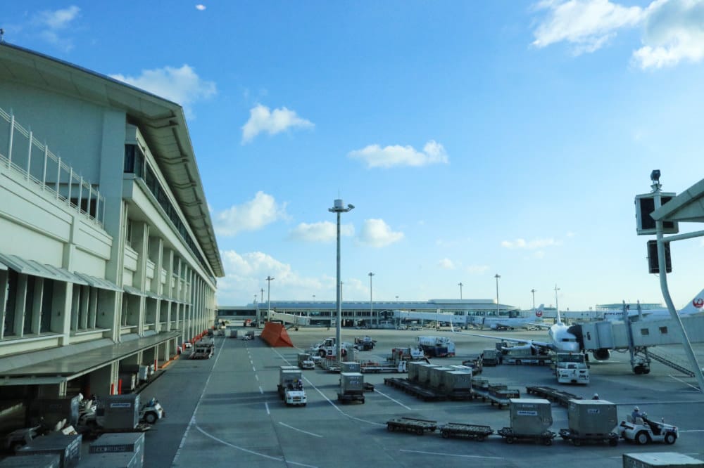 沖繩冬天就是賞鯨玩蝦密激推冬天限定超值賞鯨船 - 第2張圖 沖繩冬天就是賞鯨玩蝦密激推冬天限定超值賞鯨船