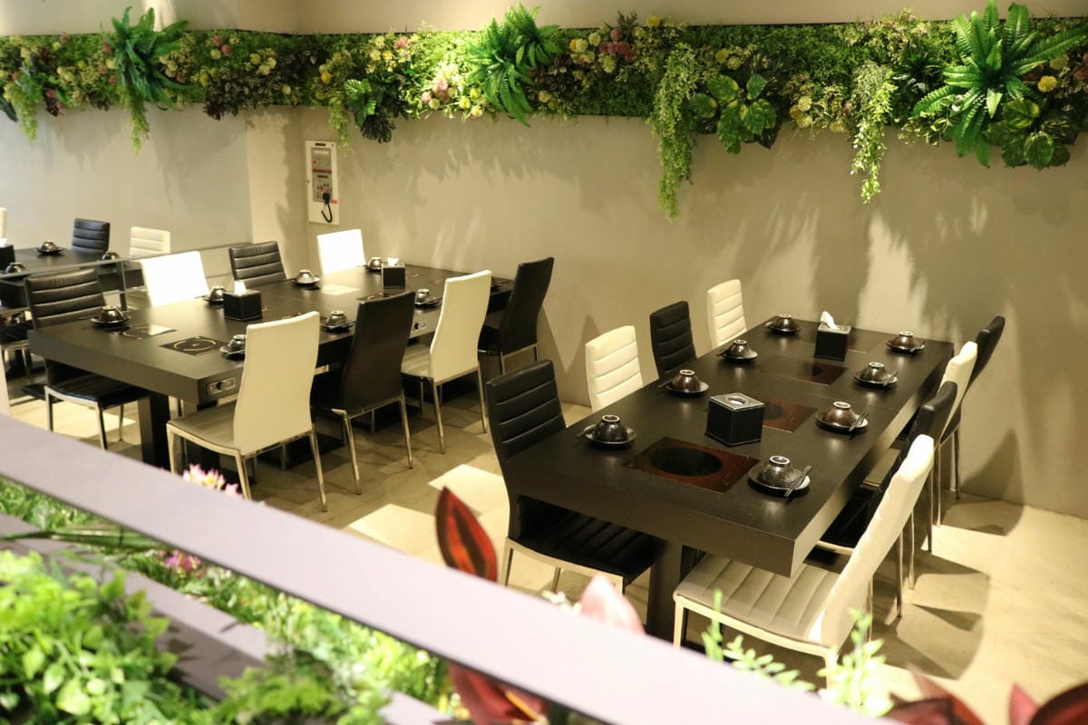 《台北》森林系火鍋 暖心鍋物單人鴛鴦鍋大推宜蘭豚 Fujiflower Shabu Shabu