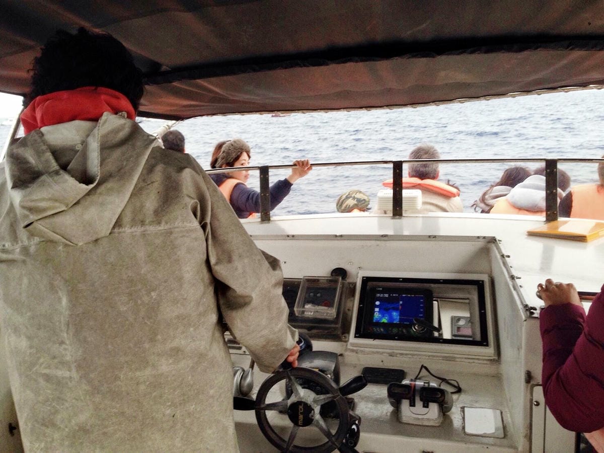 沖繩冬天就是賞鯨玩蝦密激推冬天限定超值賞鯨船 - 第10張圖 沖繩冬天就是賞鯨玩蝦密激推冬天限定超值賞鯨船