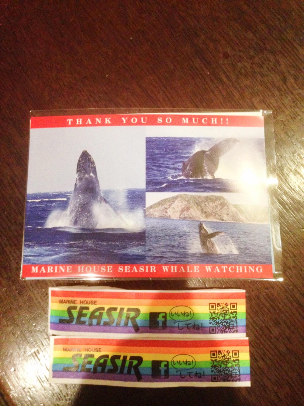 沖繩冬天就是賞鯨玩蝦密激推冬天限定超值賞鯨船 - 第6張圖 沖繩冬天就是賞鯨玩蝦密激推冬天限定超值賞鯨船