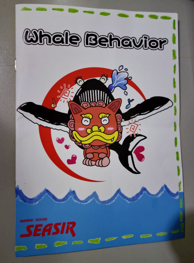 沖繩冬天就是賞鯨玩蝦密激推冬天限定超值賞鯨船 - 第7張圖 沖繩冬天就是賞鯨玩蝦密激推冬天限定超值賞鯨船