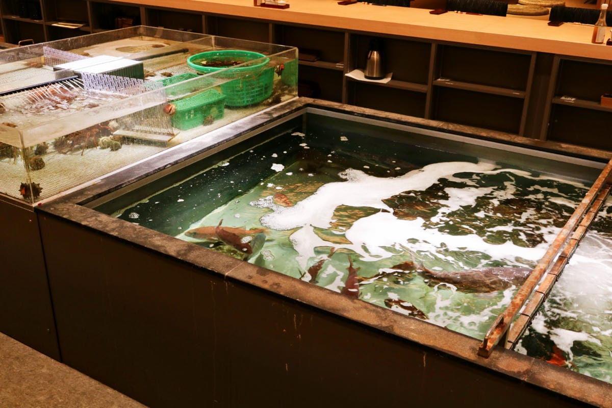 《日本》和歌山南紀白濱 円座 原九繪亭 超越河豚夢幻魚料理九繪魚