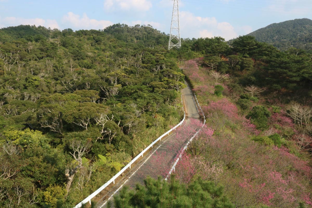 沖繩好吃麵包名護 Pain de Kaito 靠水族館太方便
