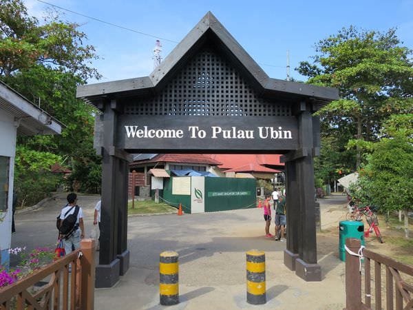 專欄｜新加坡 鐵馬健行百變花園城市 南部山脊 麥里芝蓄水池 烏敏島 讓你比在地人更在地