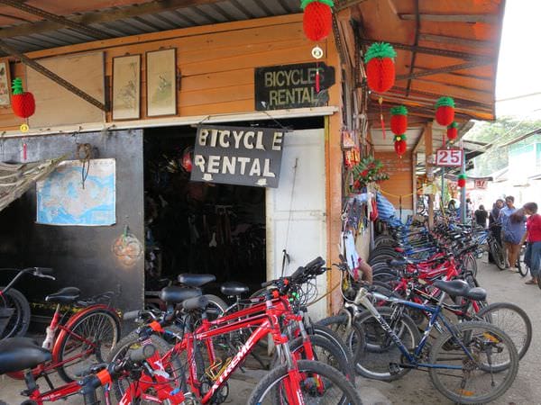 專欄｜新加坡 鐵馬健行百變花園城市 南部山脊 麥里芝蓄水池 烏敏島 讓你比在地人更在地